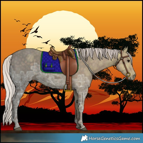 Horse Color:Silver Black Ice
