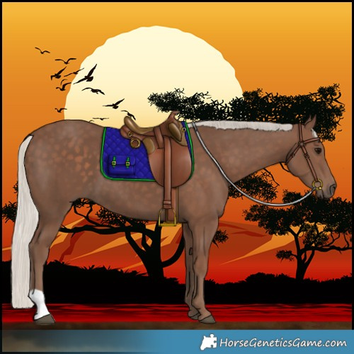 Horse Color:Silver Black