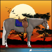 Horse Color:Silver Black