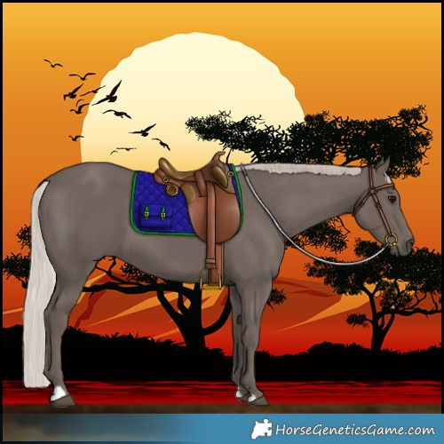 Horse Color:Silver Black 