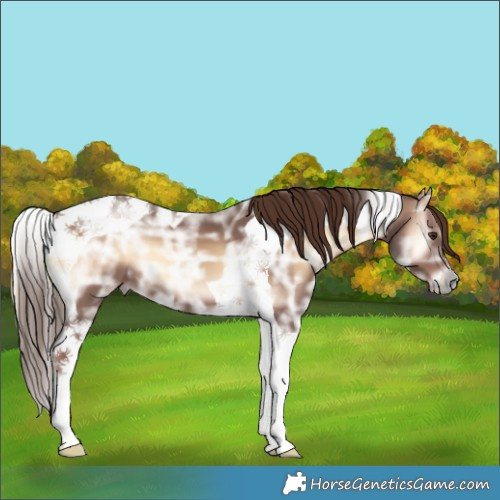 Horse Color:Red Onyx Ice Tobiano 