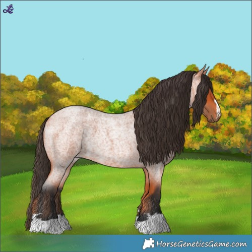 Horse Color:Bay Roan 