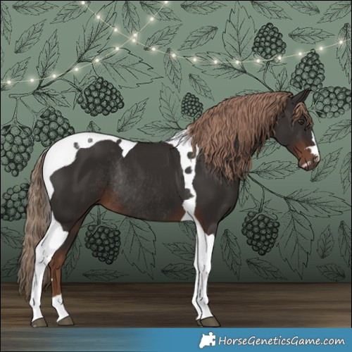 Horse Color:Liver Chestnut Tobiano Rabicano