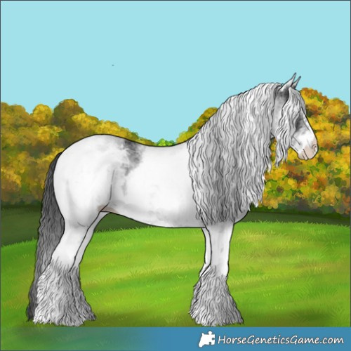 Horse Color:White Spotted Black 