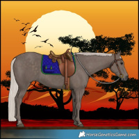 Horse Color:Silver Black