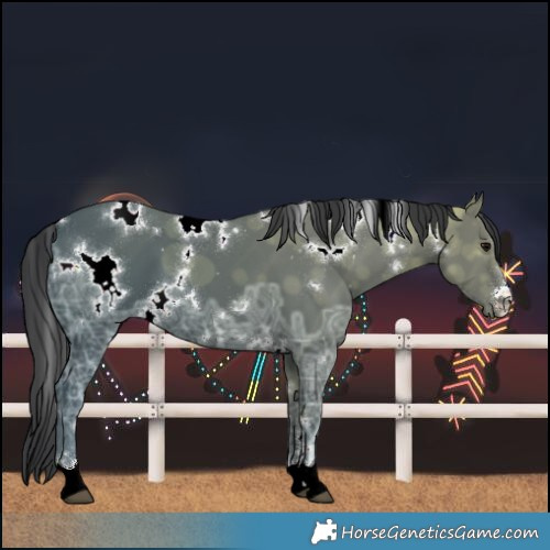 Horse Color:White Spotted Black Ice
