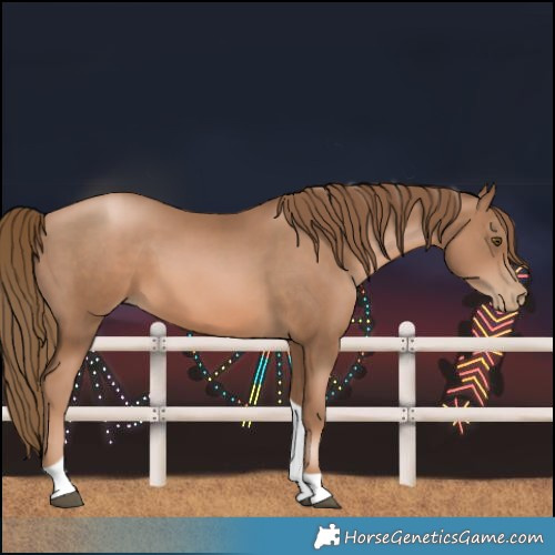 Horse Color:White Spotted Liver Chestnut Pearl Tobiano 