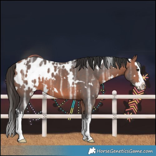 Horse Color:White Spotted Bay Ice Sabino Splash Blanket