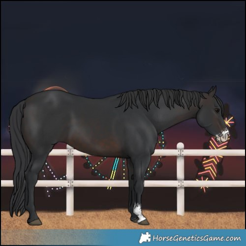 Horse Color:Brown Sabino 