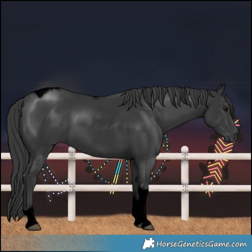 Horse Color:Void Black Tobiano