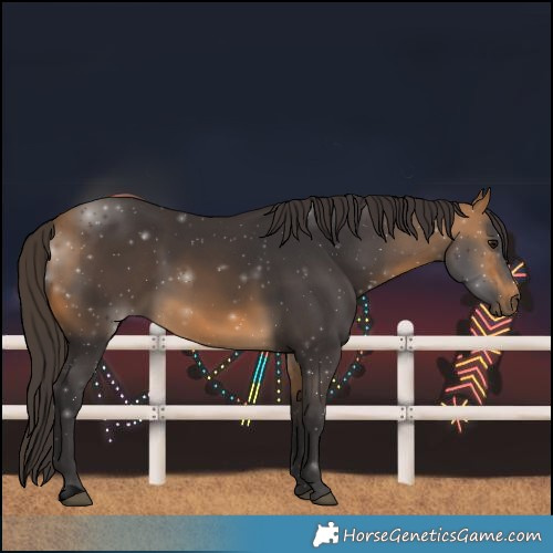 Horse Color:Void Buckskin 