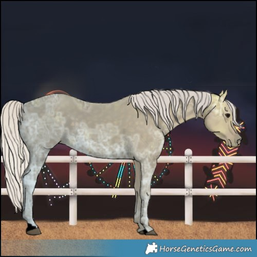 Horse Color:Void Silver Smoky Black Ice