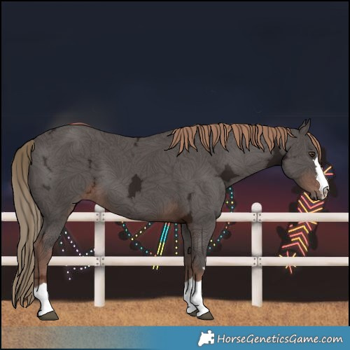 Horse Color:Liver Chestnut Ice 