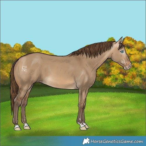Horse Color:Gray Perlino Dun 