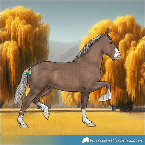Horse Color:Silver Black