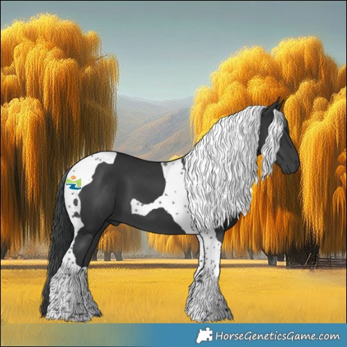 Horse Color:Black Tobiano