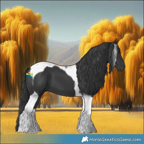 Horse Color:Black Tobiano 