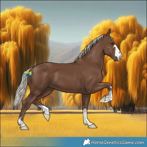 Horse Color:Silver Black 
