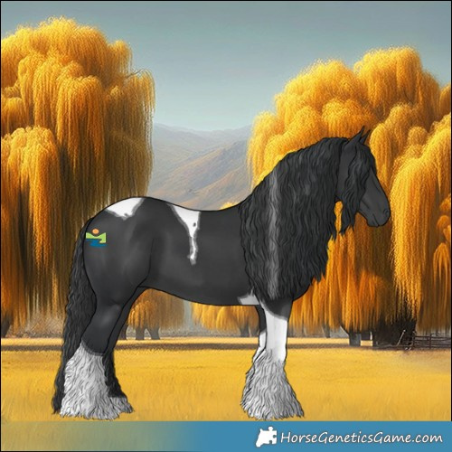 Horse Color:Black Tobiano 
