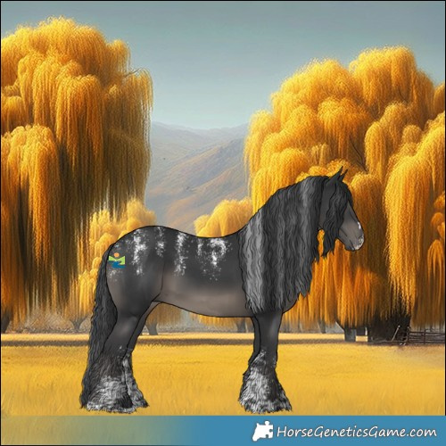Horse Color:Powder White Black