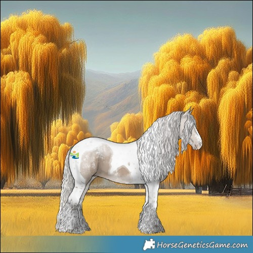 Horse Color:Powder White Silver Grullo Tobiano 