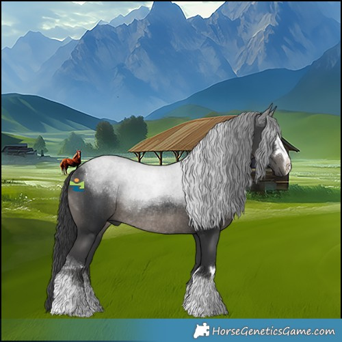 Horse Color:Black Rabicano