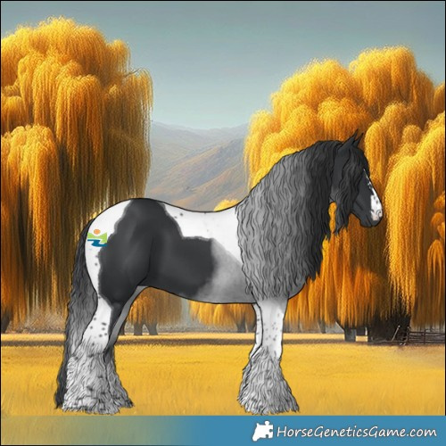 Horse Color:Black Tobiano 