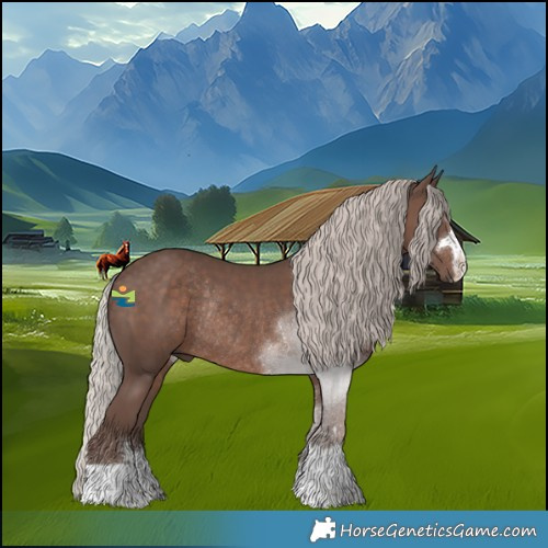 Horse Color:Silver Black Rabicano