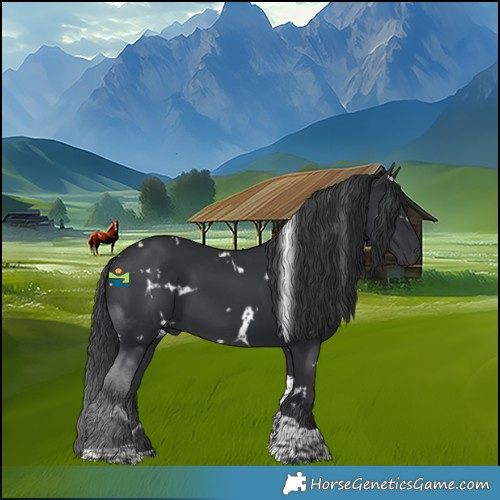 Horse Color:White Spotted Black Tobiano 