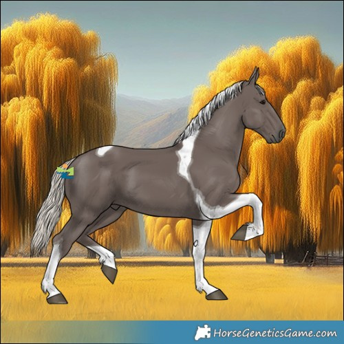 Horse Color:Silver Black Tobiano