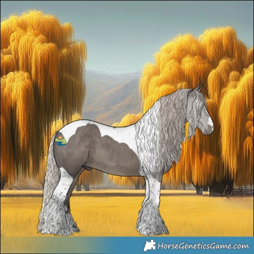 Horse Color:Silver Black Tobiano 
