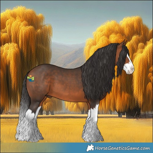 Horse Color:Bay Splash 