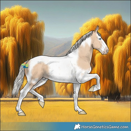 Horse Color:Silver Classic Champagne Dun Splash Tobiano Frame