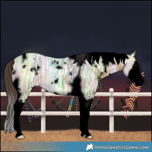 Horse Color:Void White Spotted Buckskin Ice Splash Tobiano