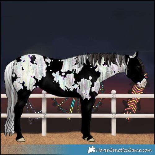 Horse Color:White Spotted Brown Ice Roan Splash Varnish