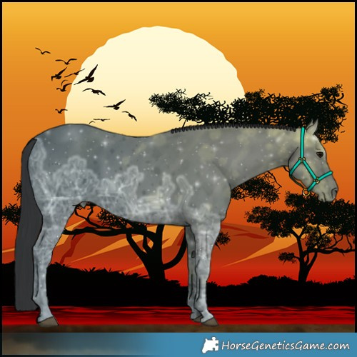 Horse Color:Black Ice 