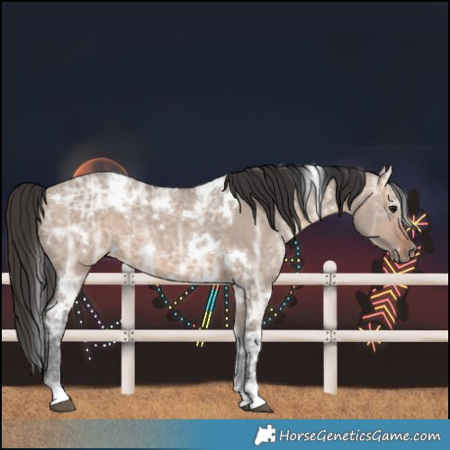 Horse Color:White Spotted Brown Ice Dun