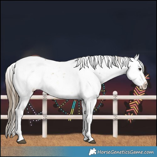 Horse Color:Buckskin Ice Sabino Varnish 