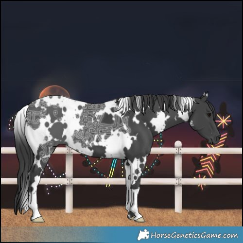 Horse Color:White Spotted Black Ice 