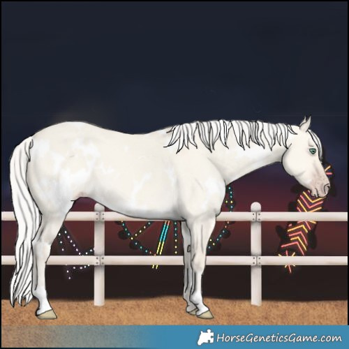 Horse Color:White Spotted Silver Classic Cream Champagne Dun 