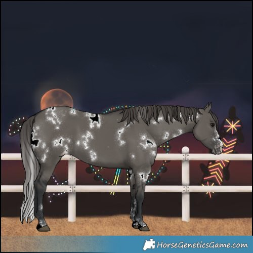 Horse Color:White Spotted Grullo Varnish 