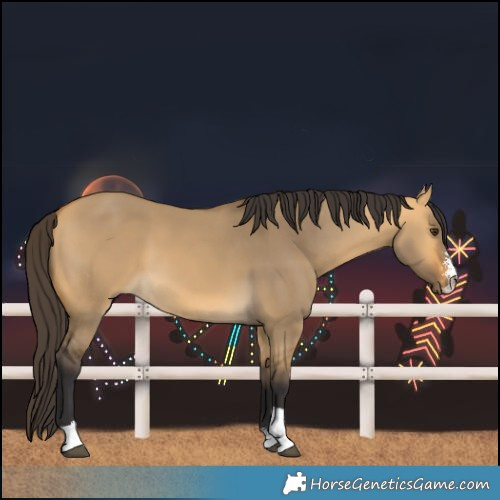 Horse Color:Buckskin Dun Sabino 