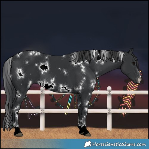 Horse Color:White Spotted Black