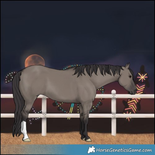 Horse Color:Smoky Grullo 