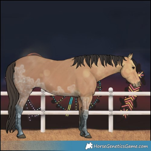 Horse Color:Bay Ice