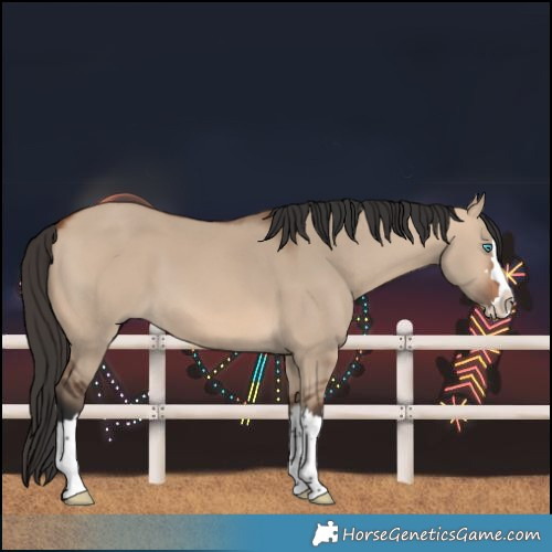 Horse Color:Bay Dun Splash