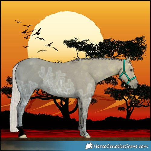 Horse Color:Silver Grullo Ice 
