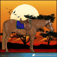 Horse Color:Gray Chestnut and Gray Chestnut