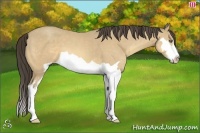 Horse Color:Amber Cream Champagne Splash Frame 