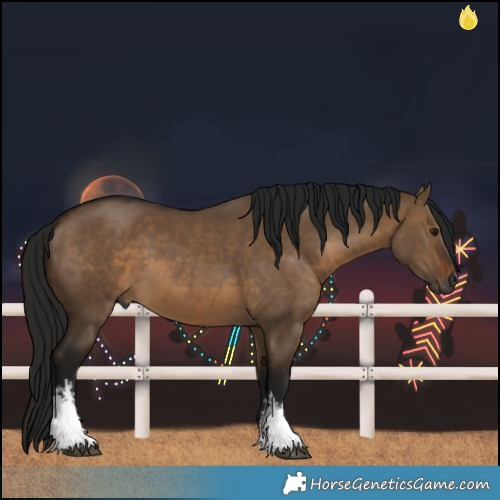Horse Color:Gray White Spotted Bay Dun
